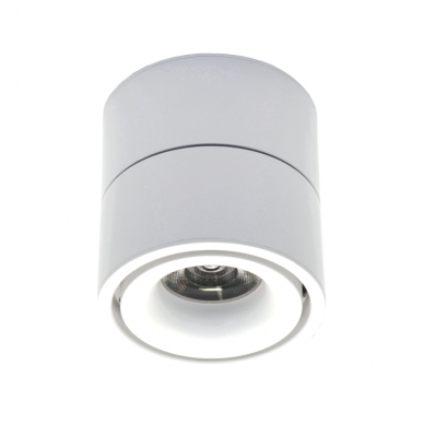 LED white spotlight "OSLO" 10W 1