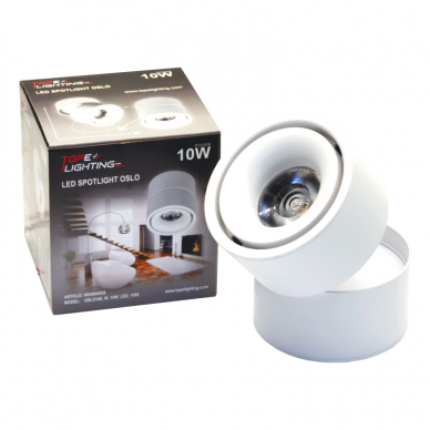 Lubinis baltas LED šviestuvas "OSLO" 10W 6