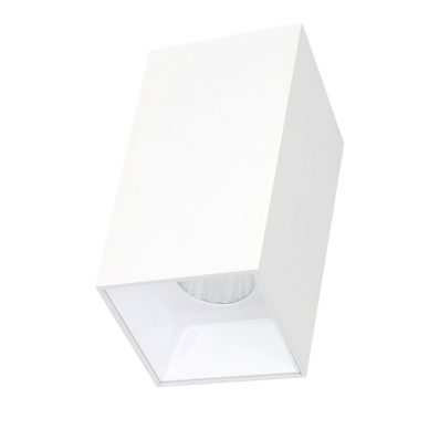 White LED ceiling light "TANGA" 15W