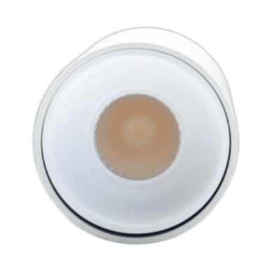 White LED ceiling light "TULSA" 10W 3