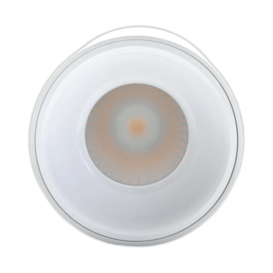 Plafonveida balts LED gaismeklis "TULSA" 15W 3