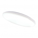 Ceiling and wall mounted LED luminaire "RIGA" 24W