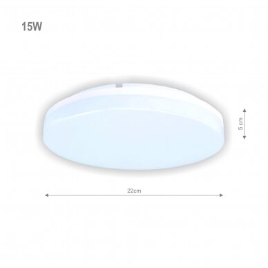 Sieninis lubinis LED šviestuvas "RIO" 15W 1